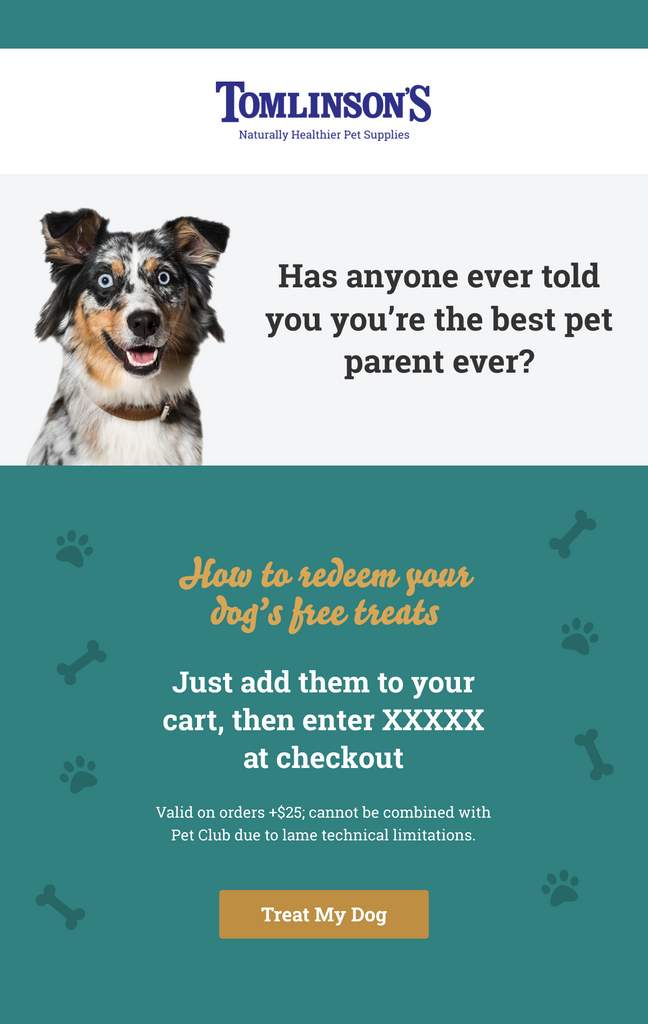 Email for dog owners