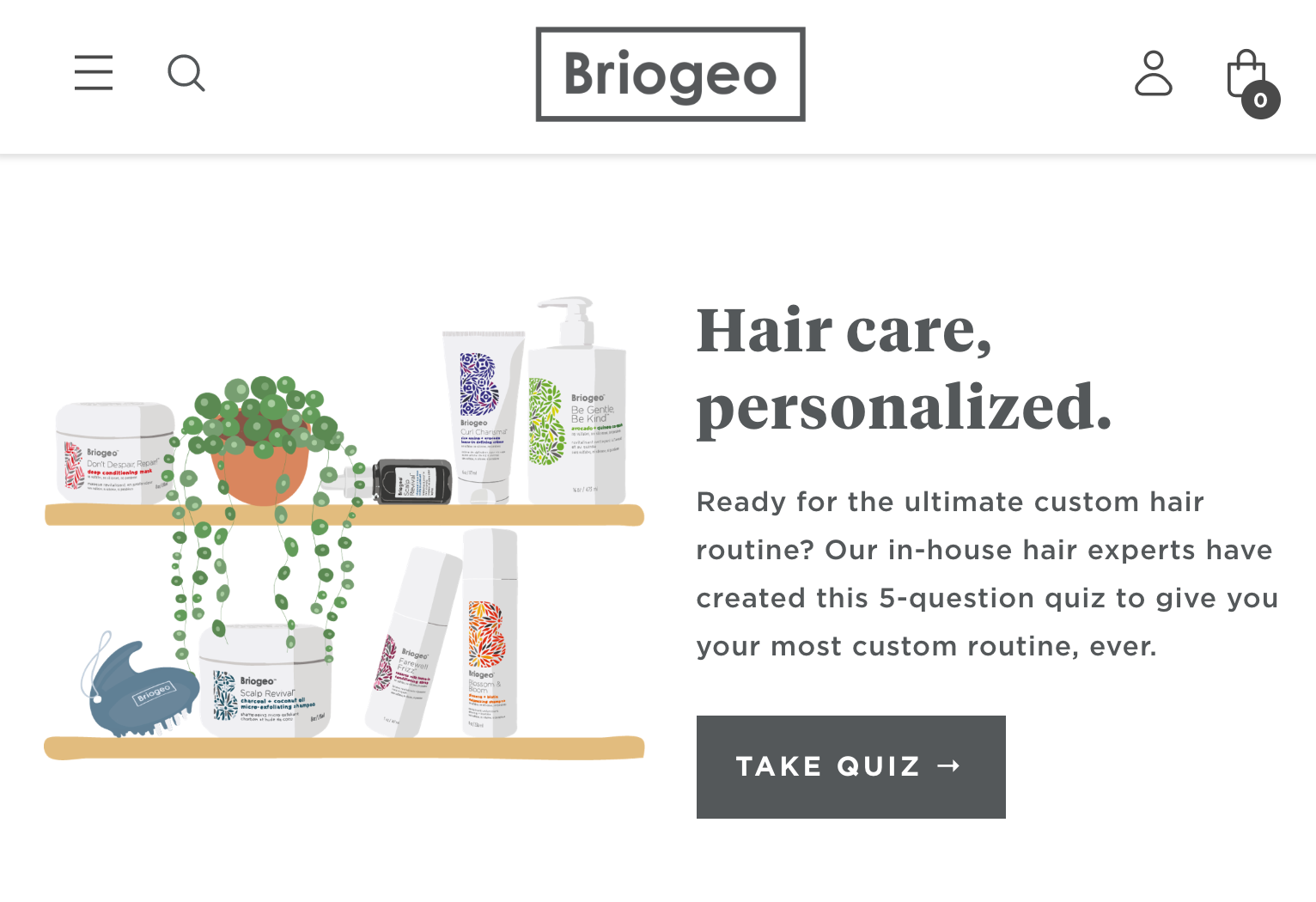 Briogeo