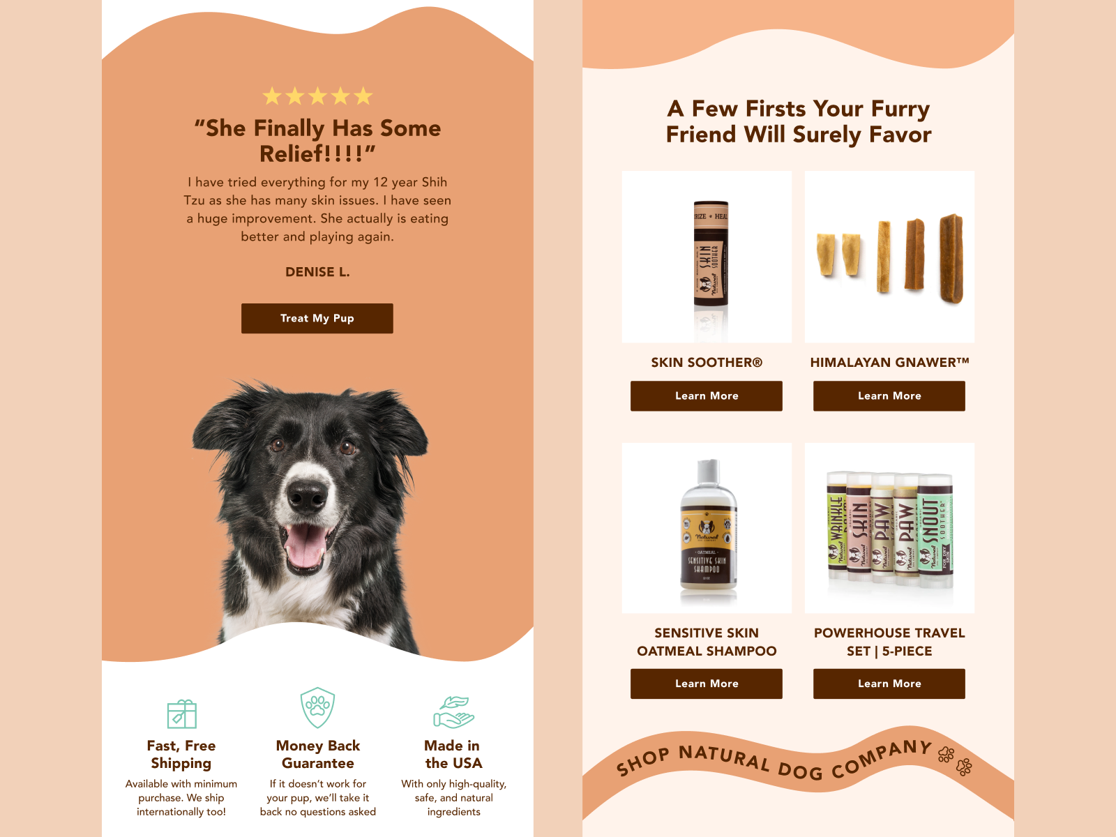 Screenshots of email campaigns from Natural Dog Company