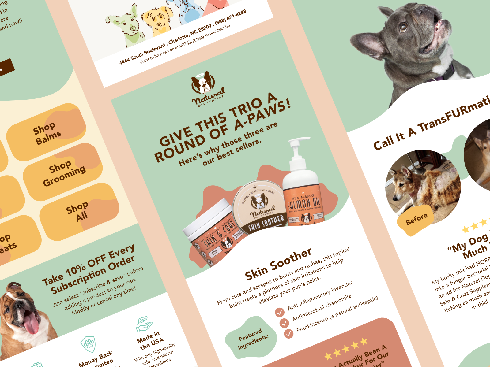 Screenshots of email campaigns from Natural Dog Company